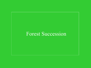 Forest Succession