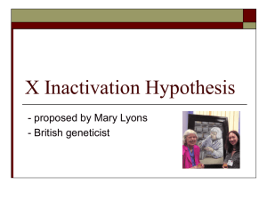 X Inactivation Hypothesis