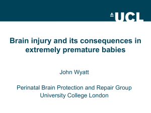 Brain injury and its consequences in extremely premature