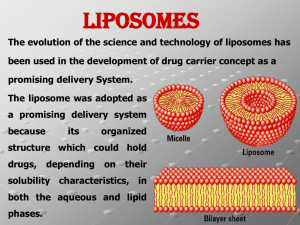 Copy of Liposomes