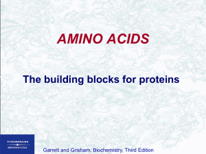Amino Acids and their Properties