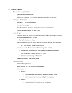 9.1 The Basics of Meiosis Meiosis serves 2 major functions