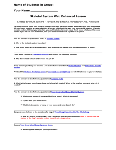 Skeletal System Web Enhanced Lesson