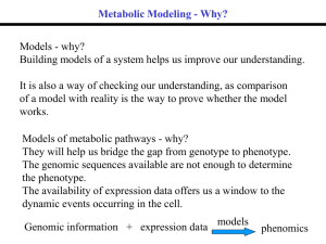 Metabolic modelling presentation (an overview for the "pathways