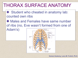 Thorax Surface Anatomy - Ccri