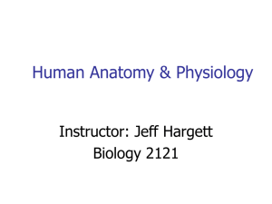 Human Anatomy & Physiology - Georgia Highlands College