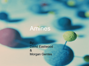 Amines Powerpoint