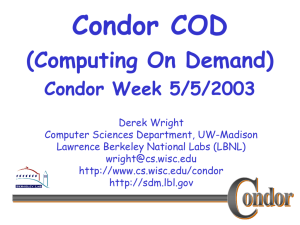 Condor COD: Computing on Demand