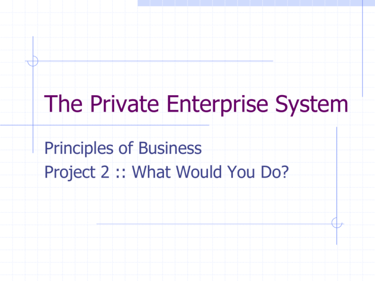 What Is Considered A Private Enterprise