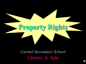 優異(Property Rights)