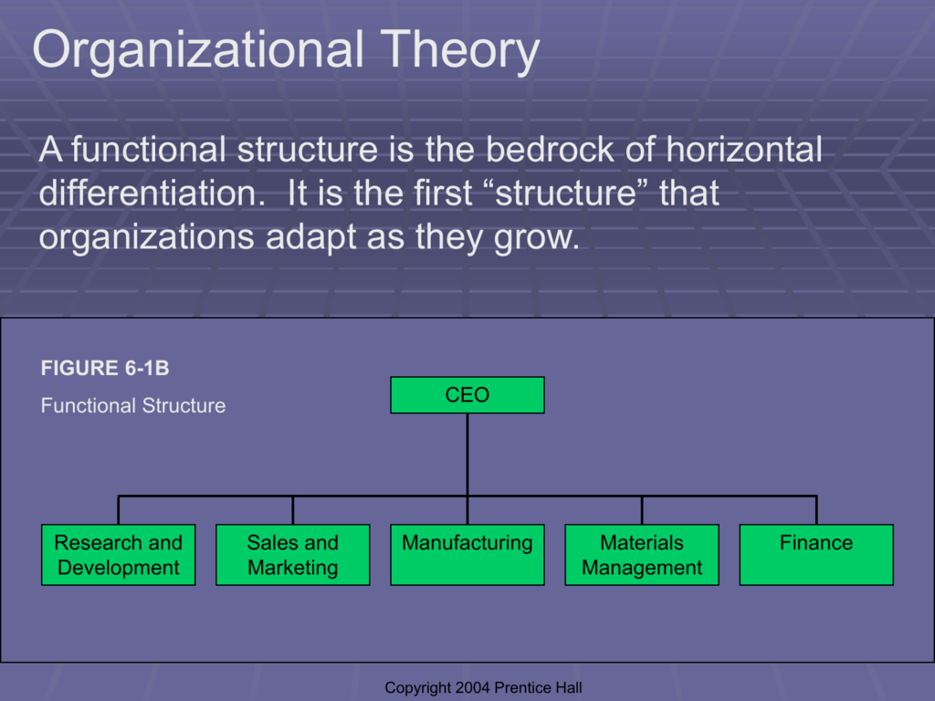 First structure. Multidivisional structure. Organizational Theory. Functional Organizational structure. Structural Functionalism.