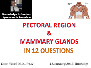 Pectoral region & Mammary glands