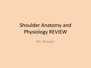 Shoulder Anatomy and Physiology REVIEW