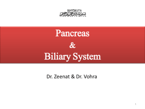Pancreas & Biliary System 2013