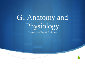 GI Anatomy And Physi..