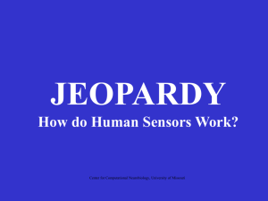 Post-Activity Assessment Jeopardy Game