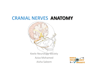 Cranial Nerves Anatomy KNS Final Copy