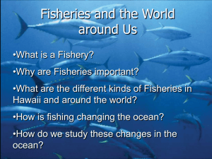 Effects of Fishing on Ecosystems