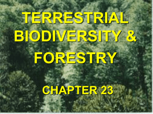 Env Chapter23a- Forestry
