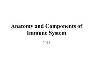 Components of immune system
