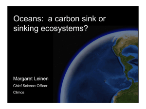Oceans - Carbon Sink or Sinking Ecosystems