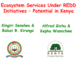 Ecosystem Services Under REDD Initiatives