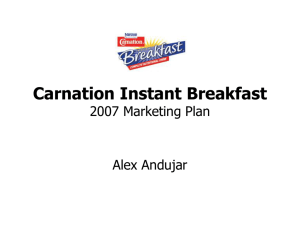 Carnation Instant Breakfast 2007 Marketing Plan