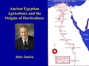 Ancient Egyptian Agriculture and the Origins of Horticulture