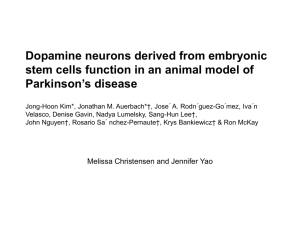 Dopamine neurons derived from embryonic stem cells function in an