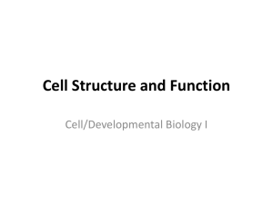 Cell Structure and Function (PowerPoint)