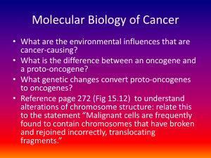3 Main Categories of Oncogene Conversion