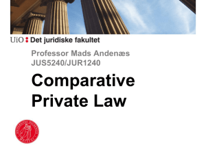 Professor Mads Andenæs