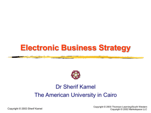 Electronic Business Strategy - The American University in Cairo