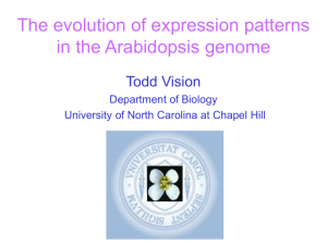 Arabidopsis 2003 - Faculty | Biology Department