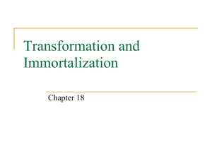 Transformation and Immortalization