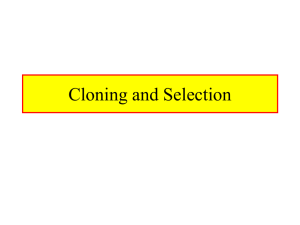 Cloning And Selection
