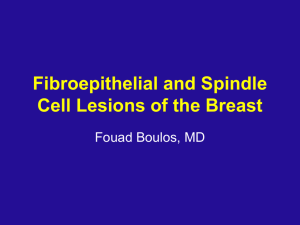 Fibroepithelial and Spindle Cell Lesions of the Breast - IAP-AD