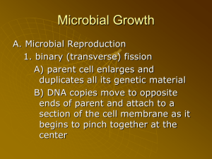 Microbial Growth PowerPoint