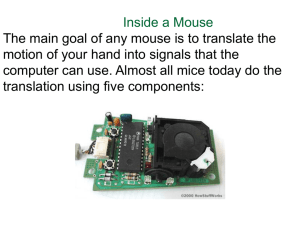 Mouse