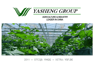 Growth Plan - Yasheng Group
