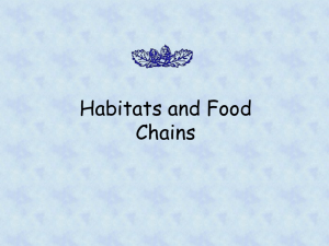 Habitats and Food Chains ppt