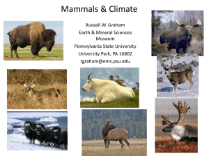 Mammals & Climate