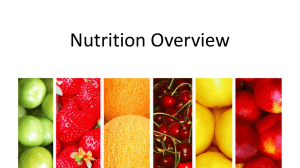 Nutrition Overview