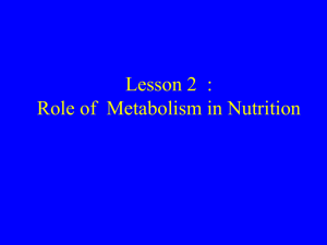 Role of Metabolism in Nutrition