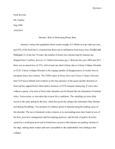 colony Collapse Essay draft 2