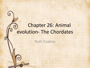 Chapter 26 chordates - Doral Academy Preparatory