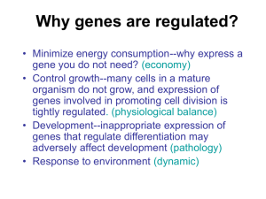 Why genes are regulated?