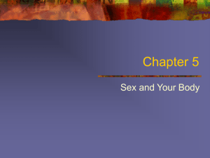 Chapter 5 - Visuality.org