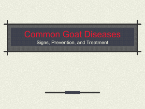 Goat Diseases
