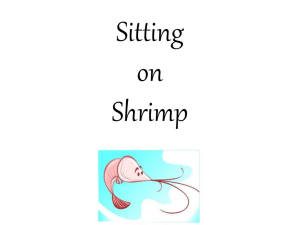 BlogIndiana, Sitting on Shrimp powerpoint